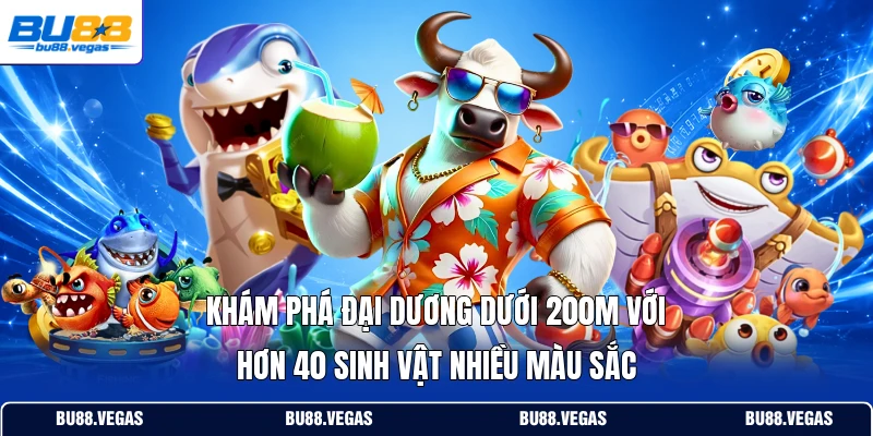 Khám phá đại dương dưới 200m với hơn 40 sinh vật nhiều màu sắc